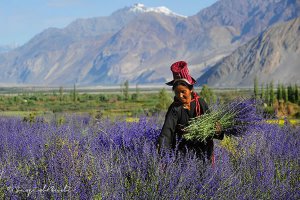 Ladakh Family Trip | Adventure With Togetherness