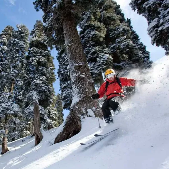 Gulmarg Tour Package